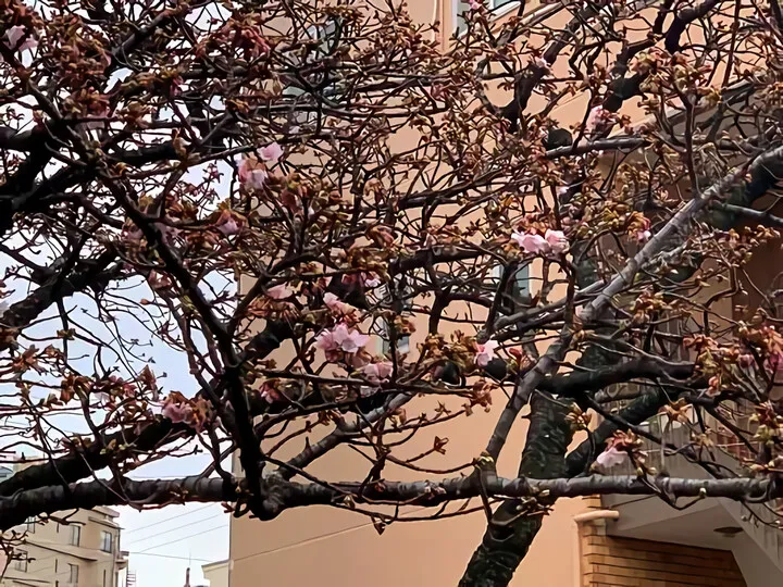 おまけ