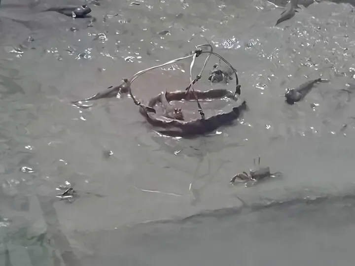 葛西臨海水族園