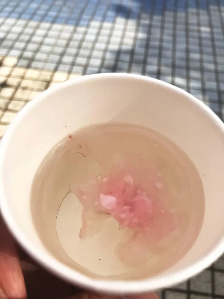 桜茶