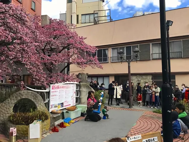 糸川桜まつり 猿回し