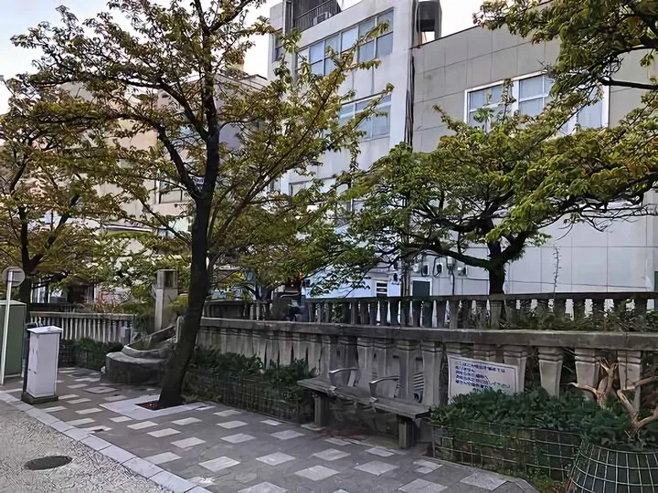糸川の熱海桜