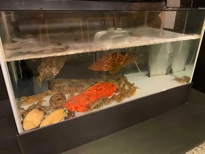 すし処 澤
