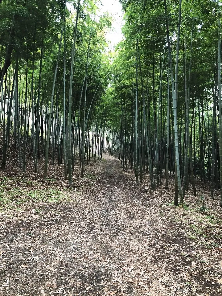貸別荘 熱海ドーム山荘