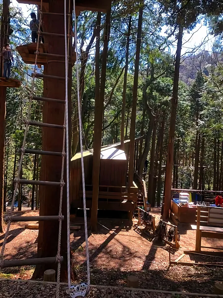  forest aventure　hakone