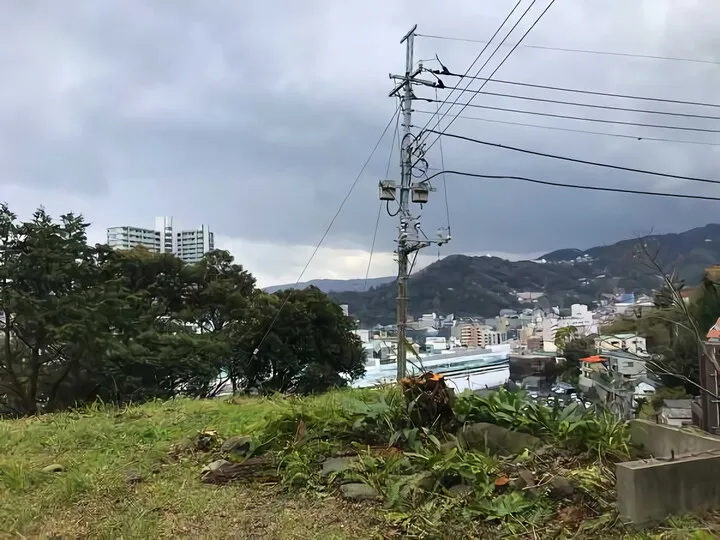 樹木伐採 ③