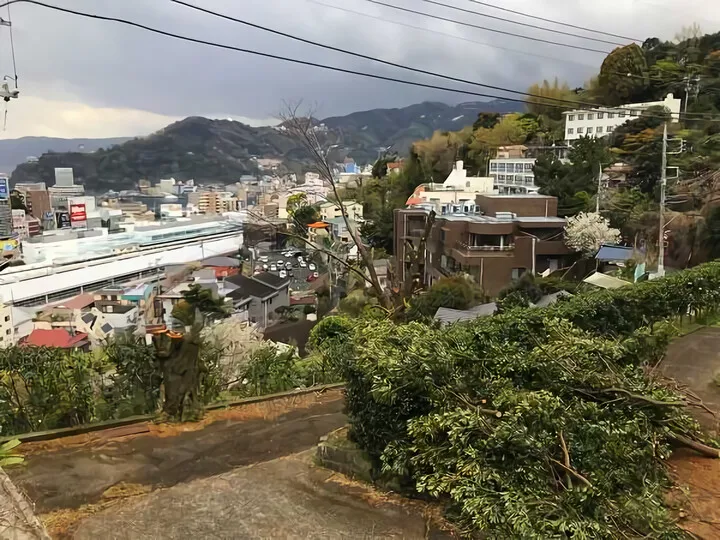 樹木伐採 ③