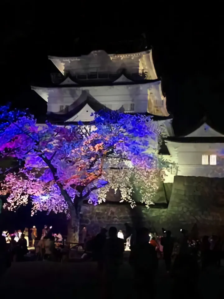 去年の小田原城の桜