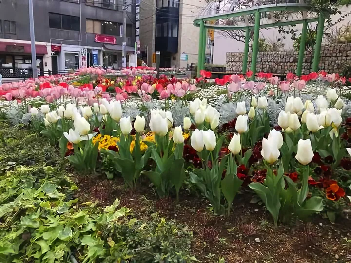 花ひろば
