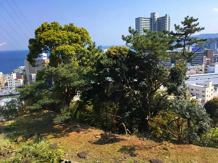 樹木伐採 ④