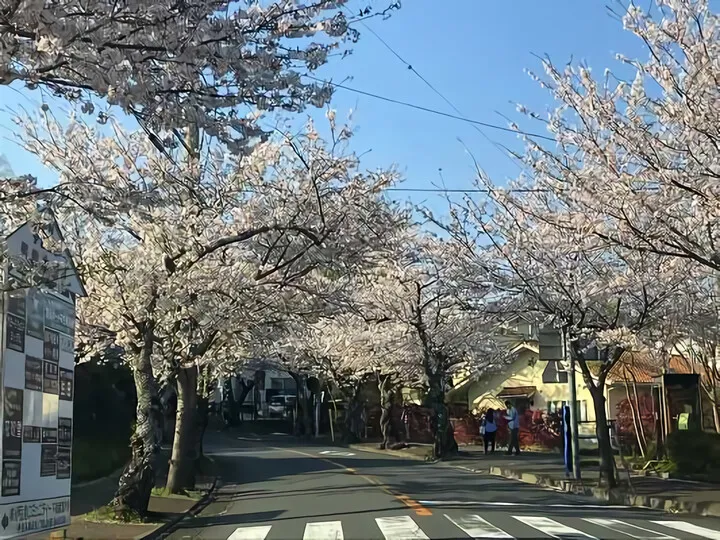 伊豆高原