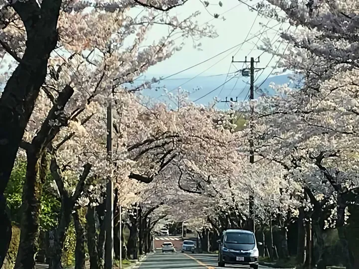 伊豆高原