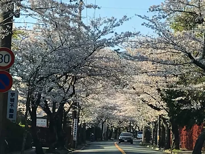 伊豆高原
