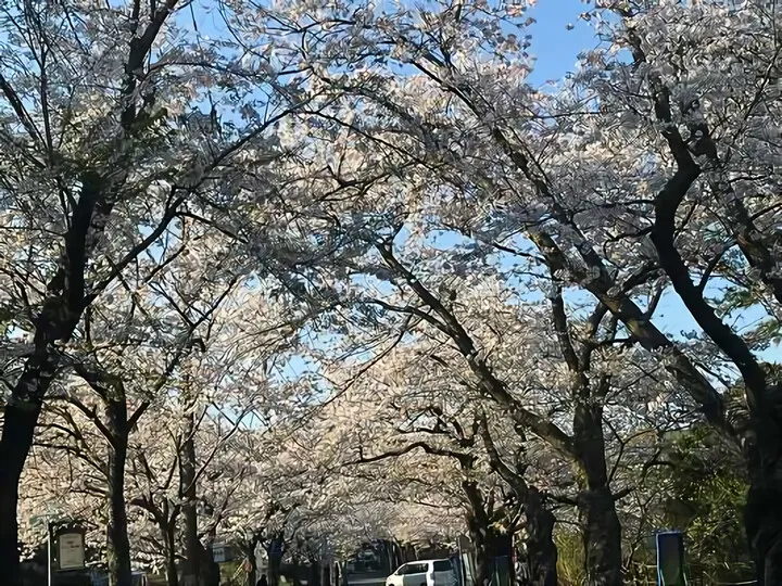 伊豆高原