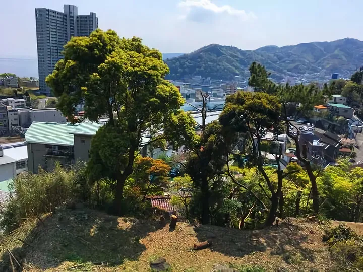 樹木伐採 ⑤