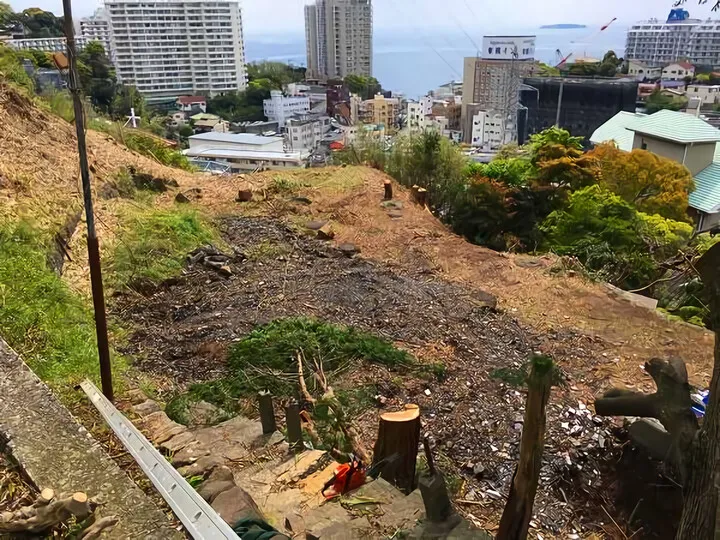 樹木伐採 ⑥