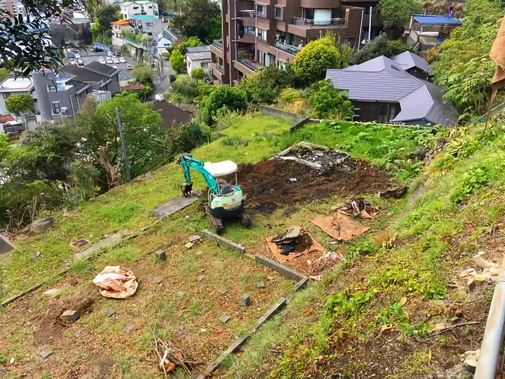 熱海 樹木伐採