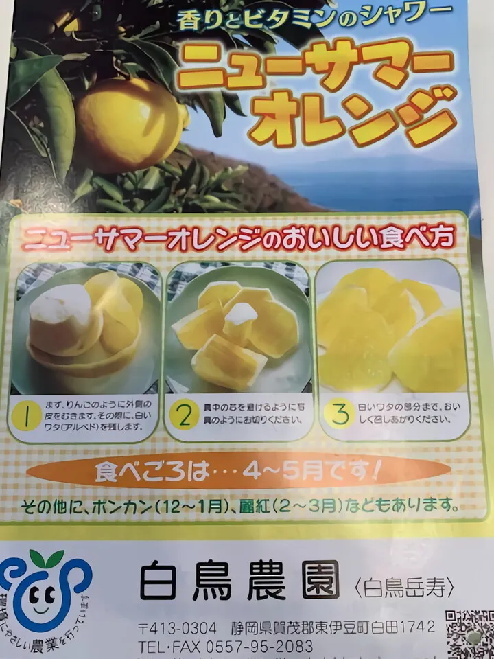 ニューサマーオレンジ