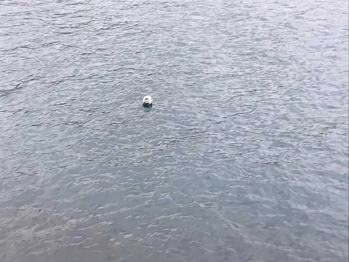熱海 小山臨海公園
