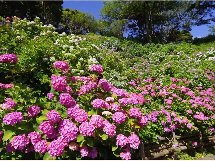 下田公園