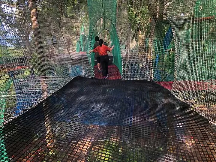 足柄森林公園 丸太の森パカブ