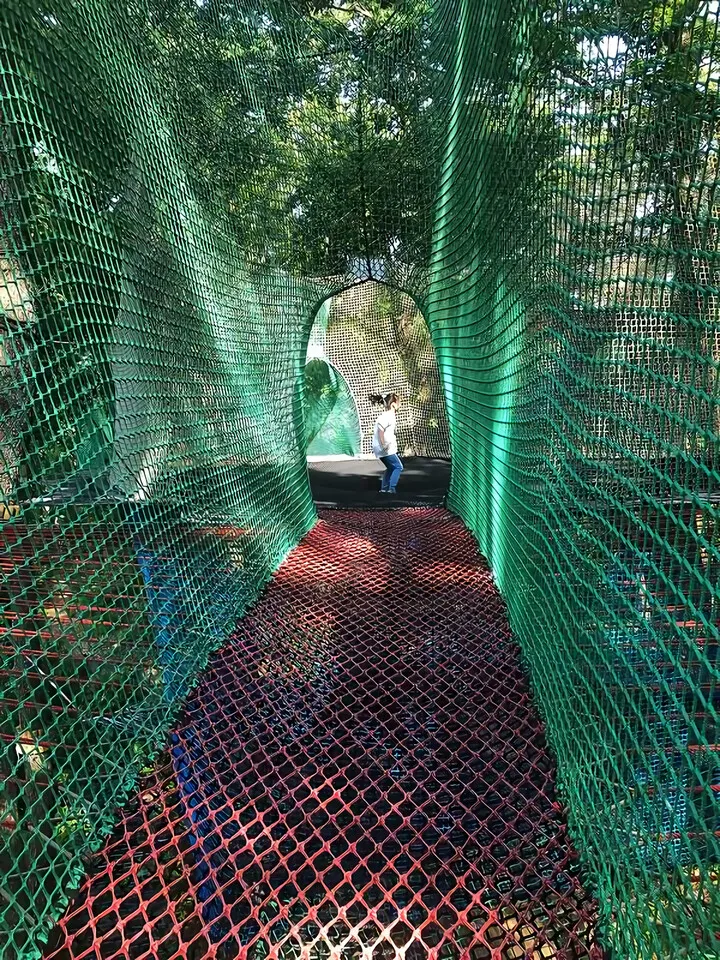 足柄森林公園 丸太の森パカブ
