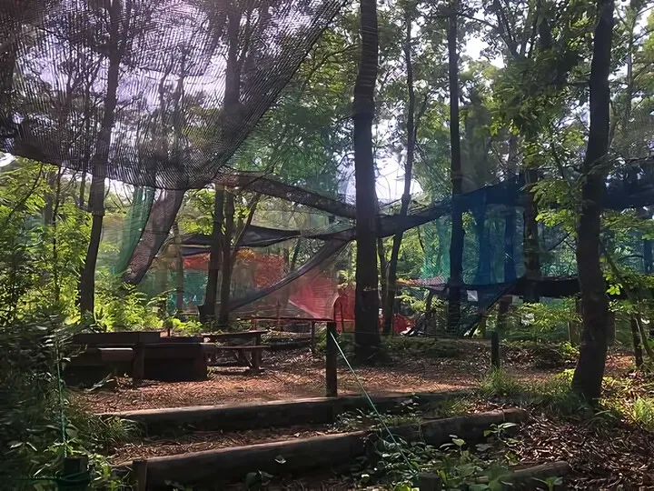 足柄森林公園 丸太の森パカブ
