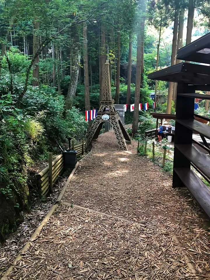 足柄森林公園 丸太の森パカブ