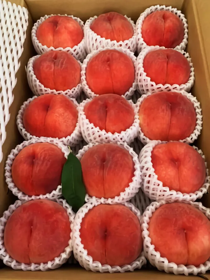 去年の桃