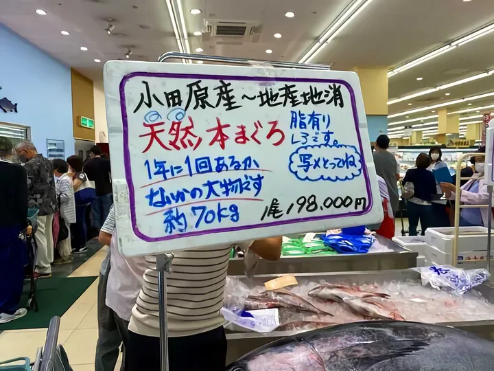 本マグロ