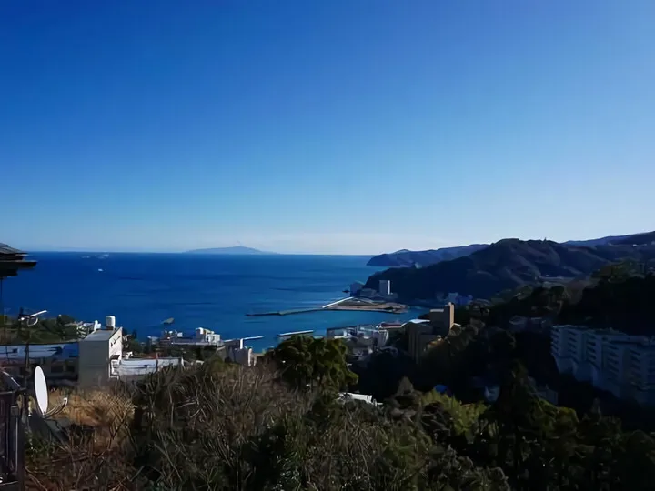 鉢アラク大型物件