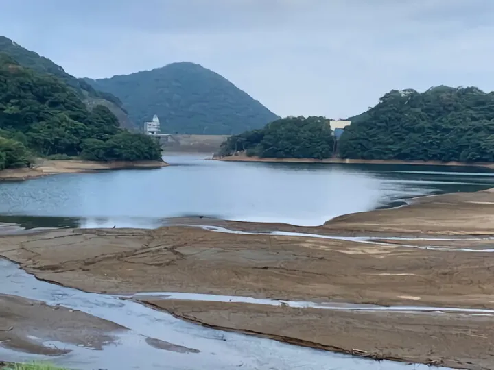 パンパスグラス 伊東松川湖