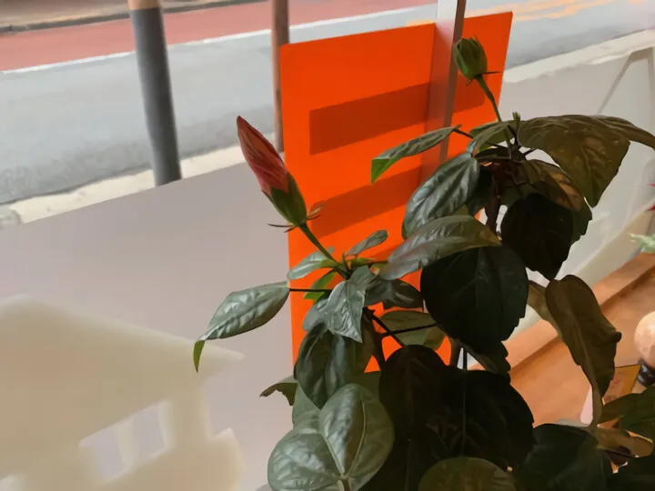 おまけ