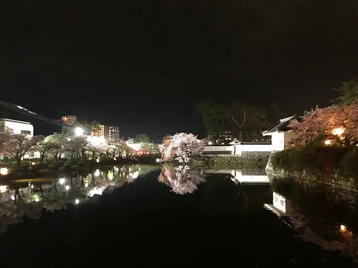 小田原城 お堀の桜