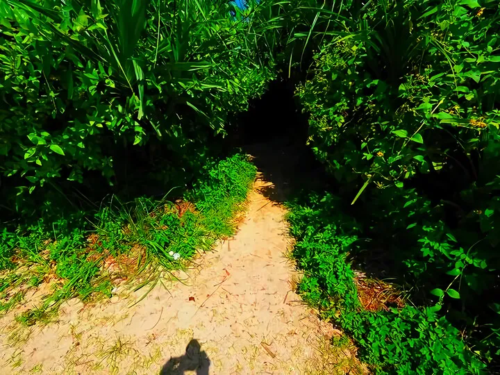 沖縄の海