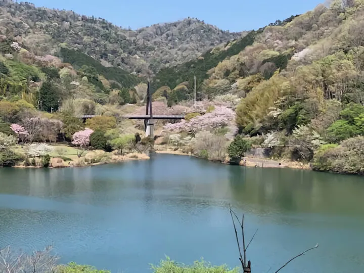奥野ダム