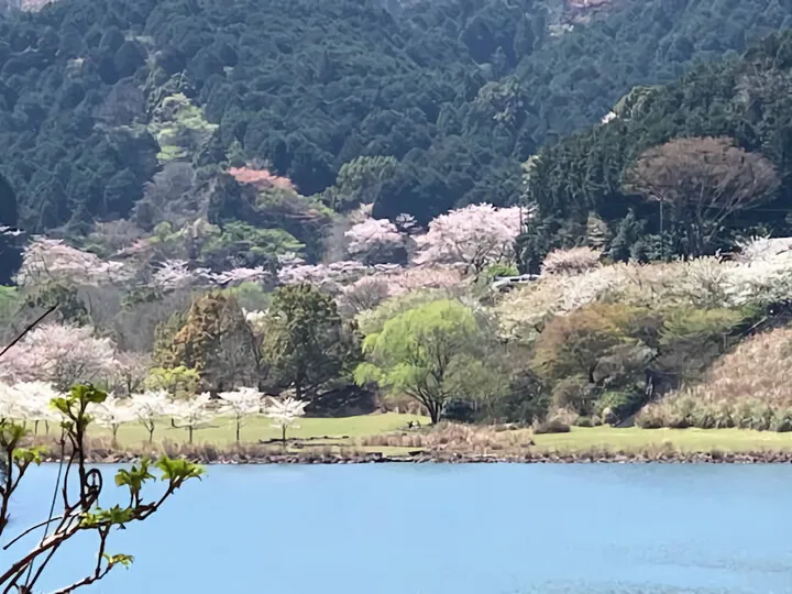奥野ダム