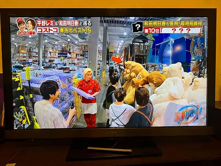 コストコ熊の大冒険~その後
