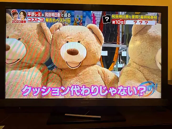 コストコ熊の大冒険~その後