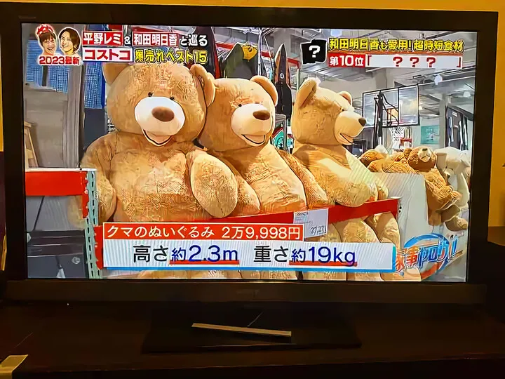 コストコ熊の大冒険~その後