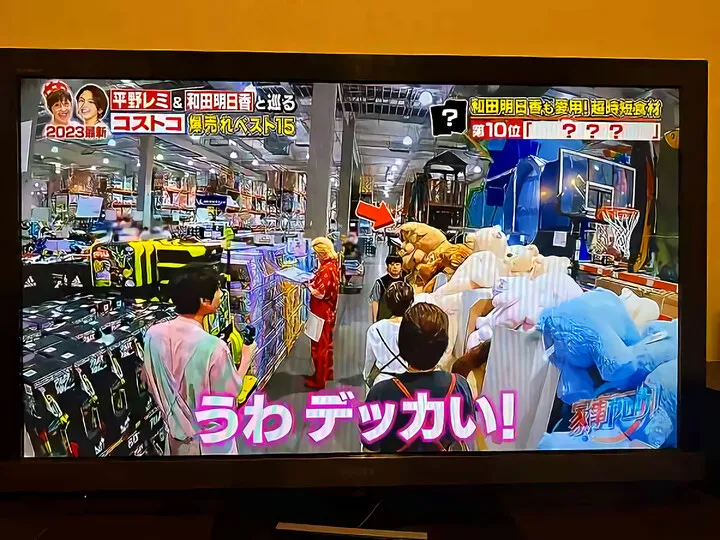 コストコ熊の大冒険~その後