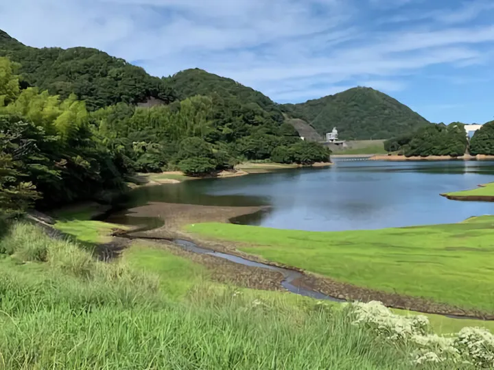 パンパスグラス~奥野ダム(松川湖)2023