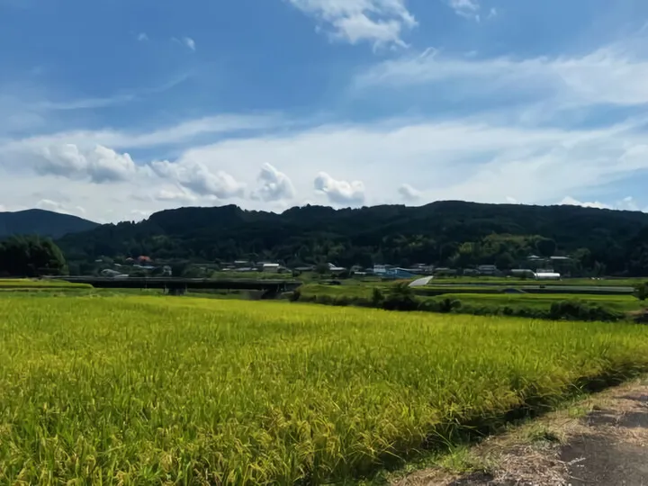 長閑な風景
