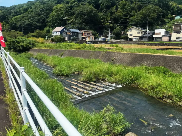 カレーハウスJIB(ジブ)本店