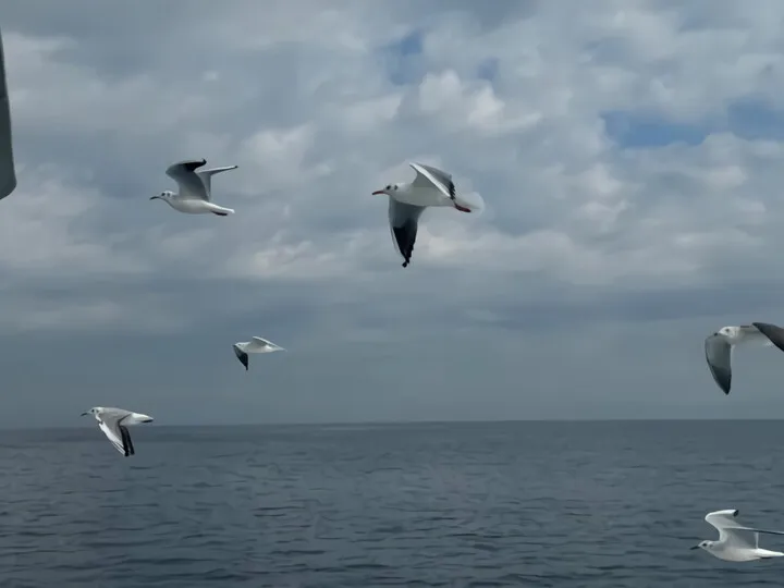 初島~Part1