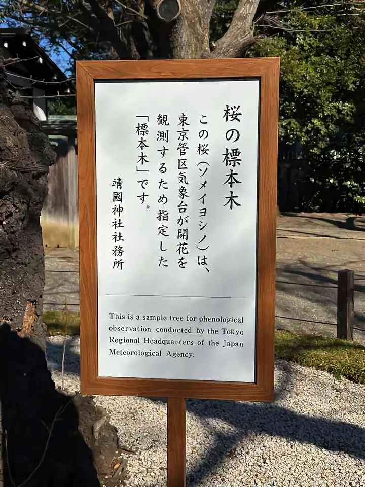 靖国神社と受験合格と10年