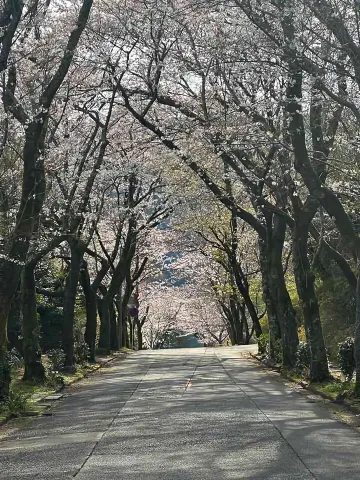 海水浴場前　貸別荘