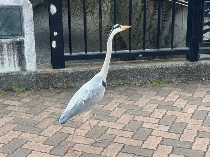 おまけ
