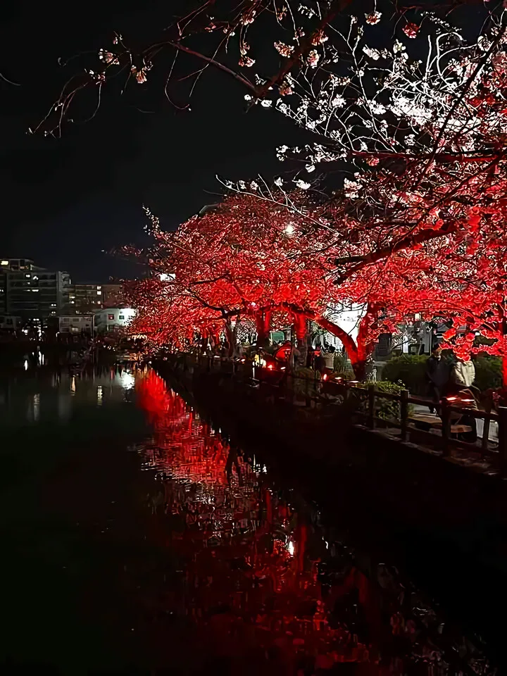 桜とツバメ