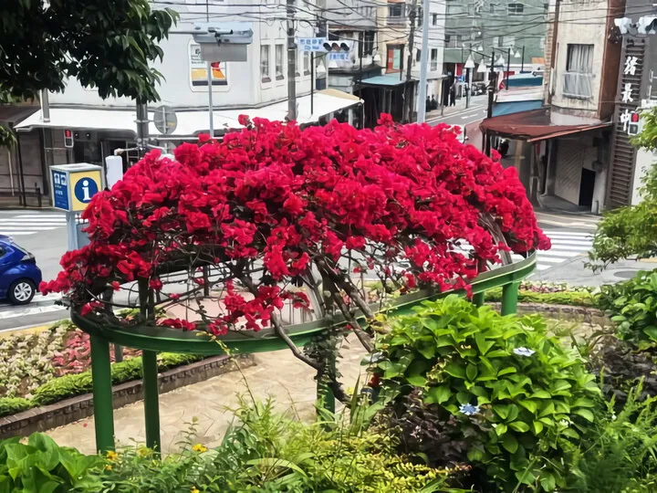 熱海市役所広場