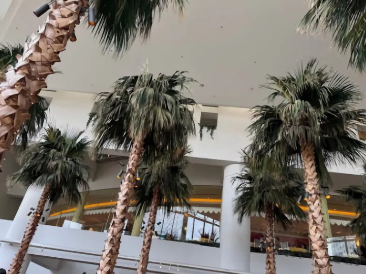 ランチビュッフェ